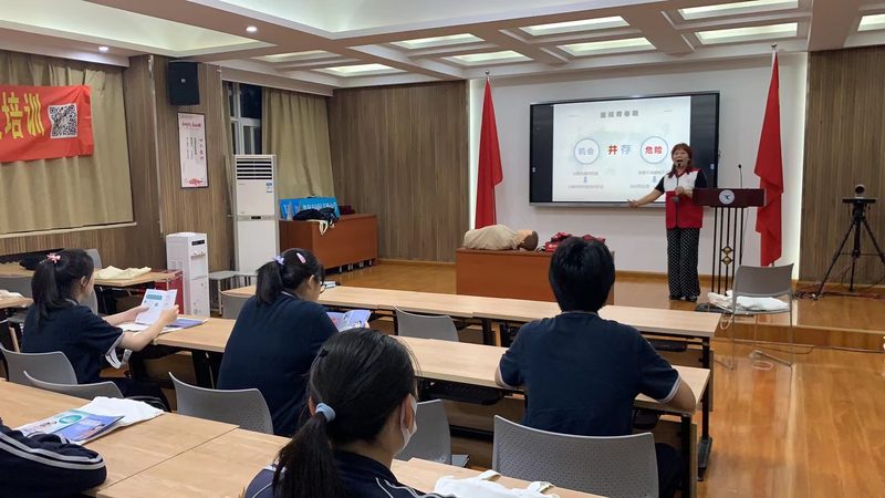 编程猫与核桃编程：揭秘两者差异，助力编程学习选择
